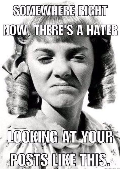 Hahahaha! Somewhere right now, there's a hater looking at your posts like this.. Haters Meme, Quotes About Haters, Haters Gonna Hate, Little House On The Prairie, Just Funny, People Quotes, Sarcastic Humor, Sarcastic Quotes, Makes Me Laugh