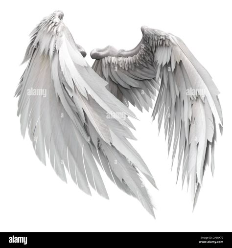 Pair of isolated angel wings with 3D feathers on white background, 3D Illustration, 3D Rendering Stock Photo - Alamy 천사와 악마, Alas Tattoo, Angel Wings Painting, Sacred Heart Art, Angel Wings Drawing, How To Render, Angel Wings Design, White Angel Wings, Angel Feathers