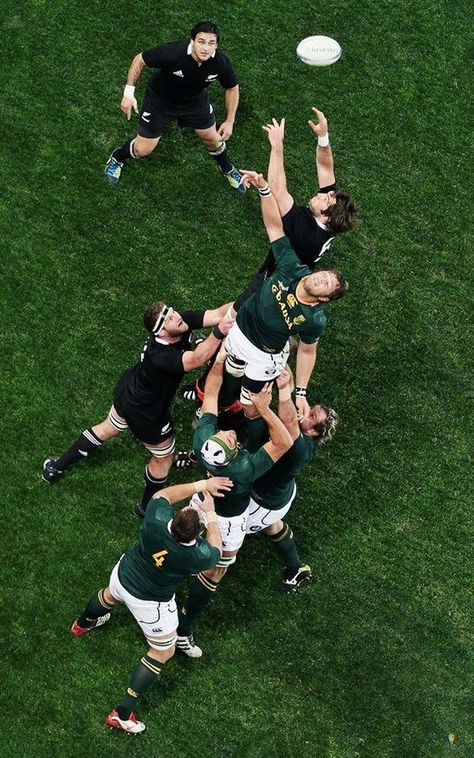 Piri Weepu of the All Blacks looks up as Sam Whitelock of the All Blacks and Duane Vermeulen of South Africa reach in the lineout during the Rugby Championship match between the New Zealand All Blacks and South Africa at Forsyth Barr Stadium on September 15, 2012 in Dunedin, New Zealand. Springbokke Rugby, Rugby Allblacks, Springboks Rugby South Africa, Duane Vermeulen, Rugby Photography, Rugby Wallpaper, Springboks Rugby, Rugby Art, All Blacks Rugby Team