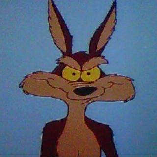 Wile E Coyote.......Genius. Wile E Coyote Wallpaper, Wille Coyote, Will E Coyote, Willie Coyote, Road Runner Coyote, Coyote Character, Roadrunner And Coyote, Coyote Cartoon, Wylie Coyote