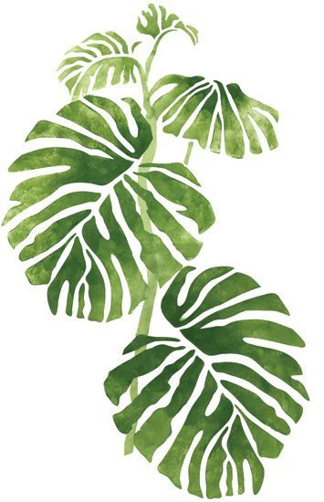 Fiori Art Deco, Tropical Leaf Decor, Modern Canvas Painting, Deco Jungle, Flowers Background, Tropical Prints, Soyut Sanat Tabloları, Painting Subjects, Plant Painting