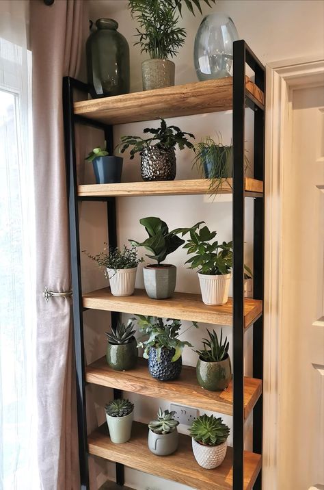 My husband surprised me and made this beautiful shelf for my indoor plants. I absolutely love it and hope my plants will too 😍 by Eva Kondrate, vF 5-1-22 Bookcase For Plants, Large Plant Shelf Indoor, Shelves With Plants And Books, Shelves For Apartments, Succulents Shelves, Metal Shelves For Plants, Shelves With Grow Lights, Plants On Stairs Indoors, Corner Plant Shelves