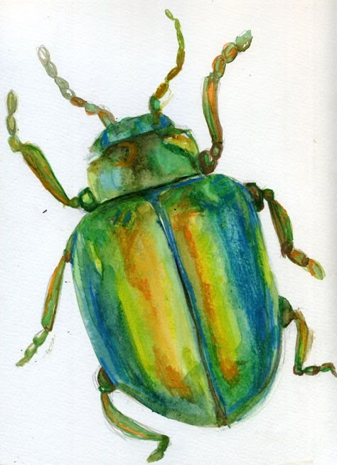 Beatle Paintings Insect, Beetle Watercolor Insects, Beetle Drawing Reference, Drawing In Oil Pastels, Bug Watercolor Painting, Insect Watercolor Painting, Cute Beetle Drawing, Watercolor Bugs Insects, Drawings For Watercolor