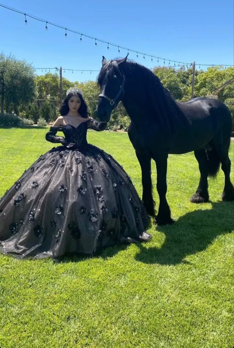 Black Quinceanera Theme Ideas, Dresses Quinceanera Black, Quencinera Dresses Black, Black Dress For Quinceanera, Qencenera Dresses Black, Black Dresses Quinceanera, Sparkly Black Quinceanera Dresses, Quinceanera Themes Black, Quncie Dresses Black