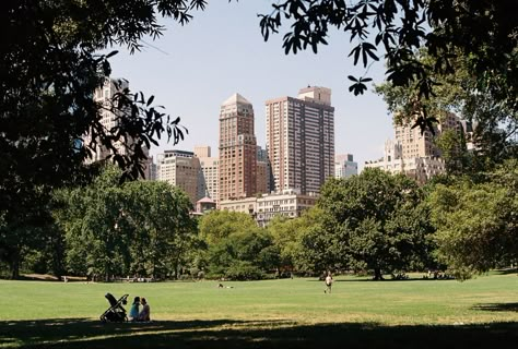 Central Park NYC film photography City Scape Background, Park Cinematography, Central Park Wallpaper, New York On Film, Nyc On Film, Manhattan Film, Cental Park, Central Park Aesthetic, Manhattan Movie