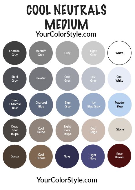 Wardrobe Color Guide, Cool Summer Palette, Soft Summer Palette, Soft Summer Color Palette, Soft Summer Colors, Cool Color Palette, Winter Color Palette, Color Combinations For Clothes, Cool Winter