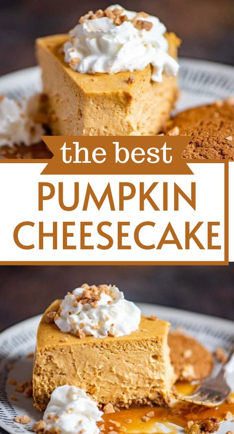 We’re sharing the BEST pumpkin cheesecake today! This baked cheesecake is thick and rich with real pumpkin and the perfect amount of pumpkin spice. Best Pumpkin Cheesecake Recipe, Best Pumpkin Cheesecake, Recipes Cheesecake, Pumpkin Cheesecake Bars, Gingersnap Crust, Pumpkin Cheesecake Recipes, Pumpkin Recipes Dessert, Best Pumpkin, Thanksgiving Desserts