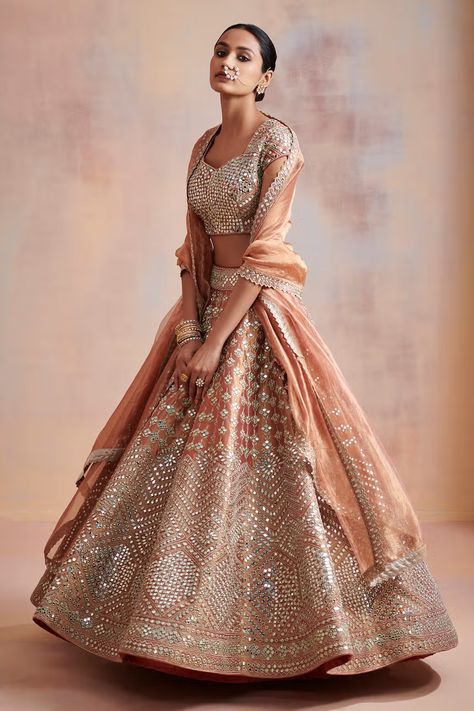 Gold Lehenga, Lehenga Pattern, Mirror Work Lehenga, Organza Lehenga, Vacuum Storage, Lehenga Blouse, Embroidered Wedding, Wedding Lehenga, Silk Lehenga