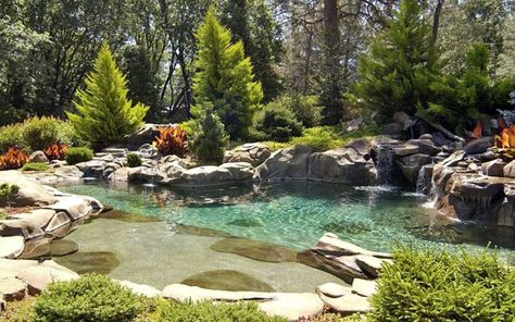 The rock and lovely planting choices for this lagoon style pool create a natural looking space that blends into the forested area behind. Very nice landscaping here. Find it at designingidea.com Lagoon Style Pool, Ideas De Piscina, Swimming Pool Pond, Natural Swimming Ponds, Swimming Pool Hot Tub, Lagoon Pool, Pool Water Features, Swimming Lessons, Swimming Pond