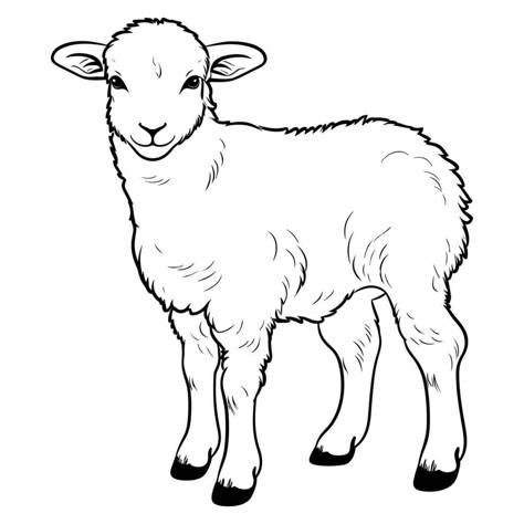 Cute sheep coloring page Lamb Template, Sheep Outline, Sheep Coloring Page, Sheep Template, Lamb Drawing, Sheep Drawing, Colouring In Pages, Memory Drawing, Rustic Painting