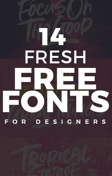 14 Fresh Free Fonts for Designers Trendy Free Fonts, Fonts For Flyers, Cool Fonts For Logos, Fonts For Logo Design, Free Typography Fonts, Best Fonts For Logos, Top Free Fonts, Modern Fonts Free, Website Fonts