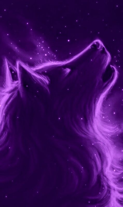 Purple Background, Wolves, I Love, Purple