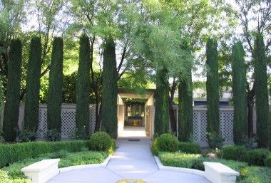 House Front Yard Design, Italian Cypress Landscaping, Cypress Landscaping, Taylor Juniper, Italian Trees, Screen Trees, Garden Italy, Italian Cypress Trees, White Pink Flowers