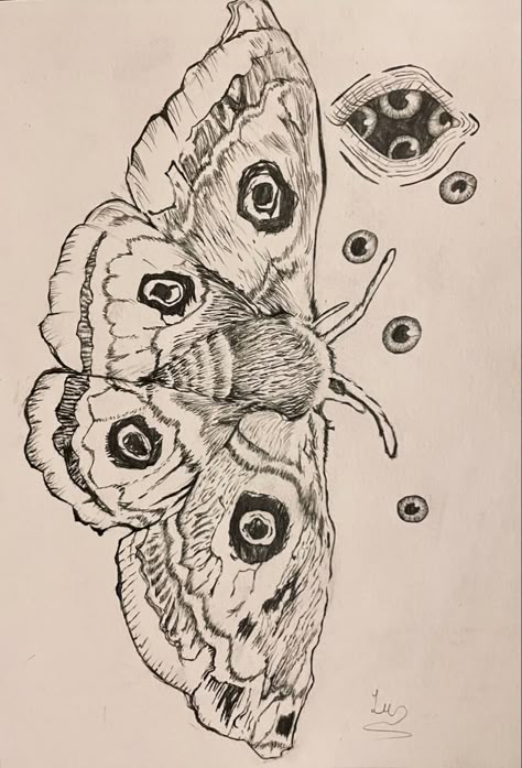 Butterfly Reference Drawing, Butterfly Sketch Pencil, Moths Tattoo, Bug Sketches, Bugs To Draw, Moth Sketch, Moth Tattoo Ideas, Bug Drawing, Tattoo Portfolio Ideas