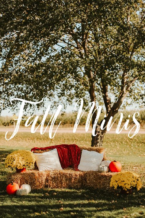 Fall Pictures Props, Simple Fall Photoshoot Setup, Diy Fall Photo Backdrop Outdoor, Fall Photoshoot Decor Ideas, Fall Outdoor Photoshoot Setup Family, Fall Family Mini Sessions Set Up Outdoor, Fall Mini Sessions Hay Bales, Fall Decor For Photo Shoot, Fall Photography Backdrop