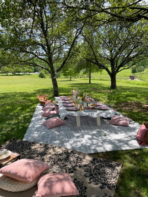 20th Birthday Ideas Outdoor, Outdoor 20th Birthday Party, Sweet 16 Park Party Ideas, Sweet 16 Picknick, Birthday Party At Park Decor, Outside Birthday Picnic, 16 Birthday Party Ideas Picnic, Picnic Brunch Birthday Party, Sweet Sixteen Picnic Ideas