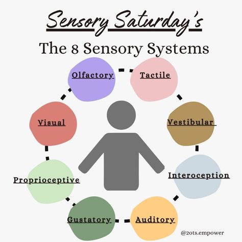 🌟 Introducing Sensory Saturdays for November! 🌟 Join us every Saturday this month as we dive into the fascinating world of our 8 sensory systems. Whether you're a parent, teacher, or looking to understand your own sensory needs, these posts will provide a quick overview and practical ideas to help you engage and support each system. ✨ What are the 8 Sensory Systems? Olfactory (Smell) Tactile (Touch) Vestibular (Balance and Movement) Interoceptive (Internal Body Awareness) Auditory (Hearing... Sensory System Anatomy, Sensory System, Parent Teacher, Body Awareness, General Information, The 8, Understanding Yourself, Anatomy, Parenting