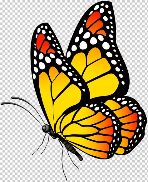 Butterflies Tattoos, Butterflies Aesthetic, Aesthetic Butterflies, Drawing Butterfly, Assignment Ideas, Nails Butterfly, Butterfly Art Drawing, Beautiful Butterfly Pictures, Butterfly Artwork