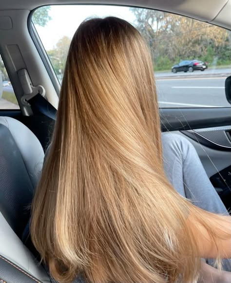 Golden Blonde Hair Color, Warm Blonde Hair, Rambut Brunette, Summer Blonde Hair, Honey Hair Color, Brown Hair Inspo, Golden Blonde Hair, Dirty Blonde Hair, Honey Blonde Hair