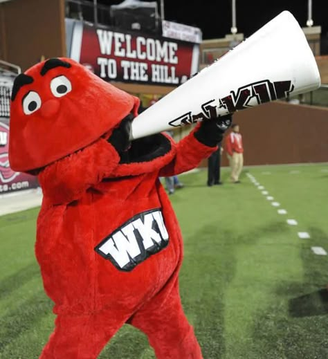 WKU Big Red Bison Board, College Attire, College Love, Western Kentucky University, Red Stuff, Kentucky University, Bowling Green Kentucky, Cooler Ideas, Bowling Green Ky