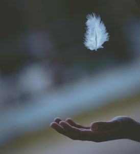 CommonLit: "Hope" is the thing with feathers - (254) Best Guided Meditation, Two People Yoga Poses, Awakening Women, Aesthetic Project, The Last Great American Dynasty, My Tears Ricochet, Meditation Guide, Folklore Taylor Swift, Magic Effects