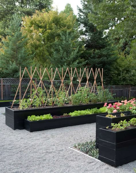 Raised Planters, Modern Garden Landscaping, Kitchen Gardens, Potager Garden, Gravel Garden, Modern Garden Design, Black Garden, Modern Backyard, Have Inspiration