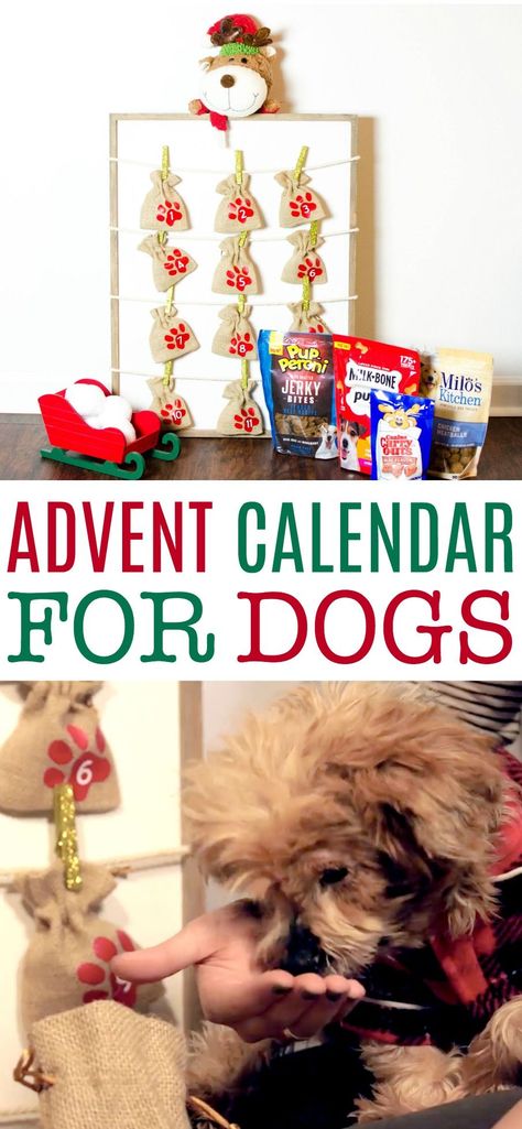 November Diy, Dog Advent Calendar, Dogs Diy Projects, Diy Recycled Projects, Kid Projects, Advent Calenders, Diy Advent Calendar, Dog Ideas, Dog Crafts