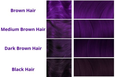 Colors To Dye Dark Brown Hair Without Bleach, Purple Dye On Dark Hair, Hair Color Ideas For Dark Hair Ombre, Hair Colours Without Bleaching, Colors To Dye Brown Hair Without Bleach, Black Violet Hair Color, Purple Hair Dye For Dark Hair, Purple On Dark Hair, Dark Purple Underneath Hair