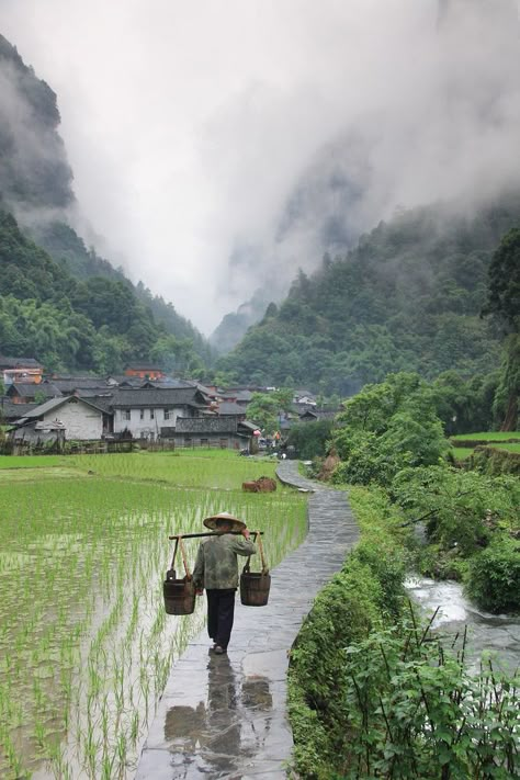 Hunan China, Rice Field, Travel China, Guilin, Halong Bay, Chongqing, China Travel, Alam Yang Indah, Bhutan