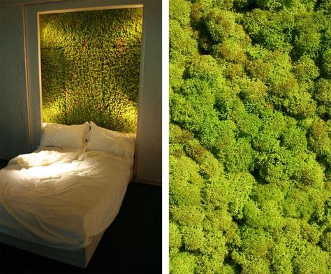 Photo Moss Growing, Landscaping Inspiration, Headboard Decor, Moss Wall Art, London Design Festival, Moss Garden, Moss Wall, Lounge Design, Green Interiors