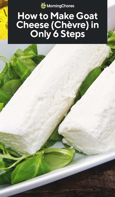 How to Make Goat Cheese (Chèvre) in Only 6 Steps