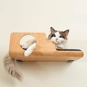 Modern Cat Wall Furniture, Cat Wall Ideas, Designer Cat Furniture, Cat Walls, Cat Rooms, Cat Homes, Floating Cat Shelves, Unique Cat Trees, Cat Room Decor