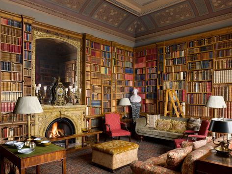 Elton Hall: A 'house of many faces', with one of the greatest private art collections in Britain - Country Life Manor Library, Beautiful Home Library, Dream Home Library, Fireplace Fender, House Library, Beautiful Library, Studying Library, Library Room, Stately Homes