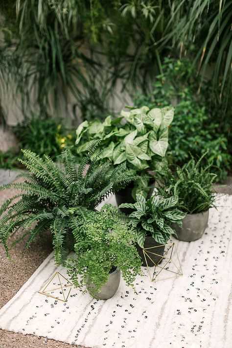 Modern Urban Jungle Wedding - RMBO Collective Plant Wedding Aesthetic, Potted Plant Altar Wedding, Plants At Wedding Receptions, Wedding With House Plants, Live Plant Wedding Decor, Houseplant Wedding Centerpieces, Houseplant Centerpiece Wedding, Houseplant Wedding Decor, Tropical Plant Wedding