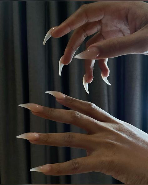 White Sharp Nails, Cat Claw Acrylic Nails, Corpse Nails, Megan Thee Stallion Nails, Fang Nails, Long Sharp Nails, Siren Nails, Claw Nails Designs, Vampire Nails