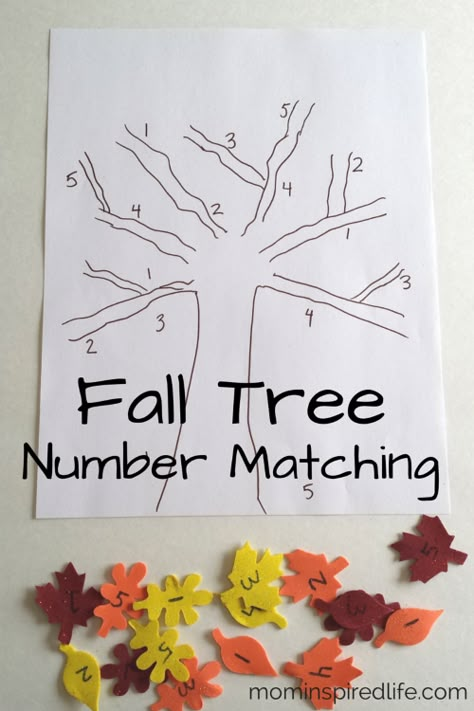 Cute fall learning activity for your little ones Fall Math Activities, Fall November, November Crafts, Fall Preschool Activities, Fall Lessons, Preschool Fall, Fall Math, Tree Study, Thanksgiving Preschool