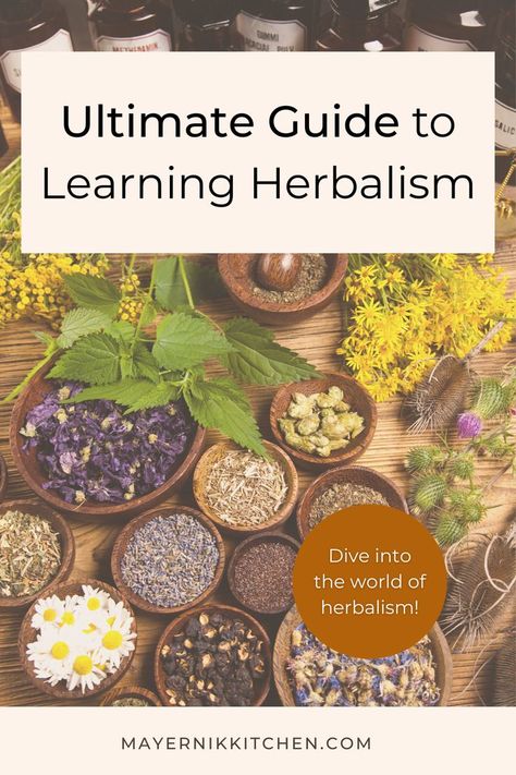 Plants For Healing, Herbalist Kitchen, Herbalism For Beginners, Uses Of Plants, Herbalist Recipes, Herbal Salve Recipes, Medicinal Herb Garden, How To Get Married, Herbal Education