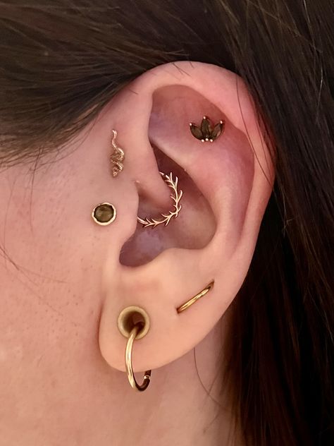 Slightly Stretched Ears, Upper Forward Helix Piercing, Stretched Ears With Hoop Earrings, Titanium Ear Curation, Small Ear Stretch, Small Gauges Aesthetic, Piercings With Names, Decorated Ears Piercings, Ear Piercings Layout