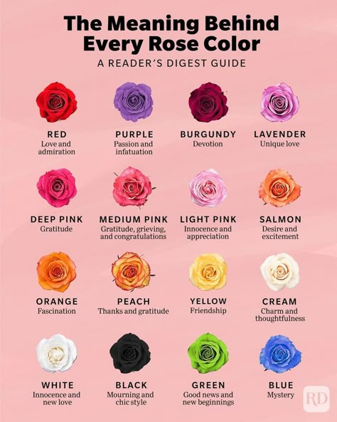 Red Rose Meaning, Blue Rose Meaning, Rose Flower Colors, Different Color Roses, Rose Color Meanings, Rose Meaning, Pretty Flowers Pictures, Rose Varieties, Flower Meanings