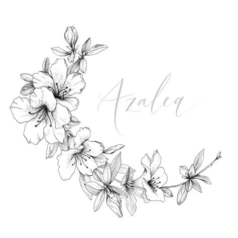 The third prompt for #flowertober is Azalea 🌺 I’ve been mostly doing line drawings lately as it suits stationery needs best but I wanted to go back to tradition here. ⭐️ I used the pencil brushes on Procreate to shade and define the flowers. ✨ I’m really happy with how they turned out! Follow along with us this month of #flowertober with @blusheddesign @tiny_sparrow_design and @kkhrysty_fine_art ✨ Baby Tattoo For Dads, Brushes On Procreate, Azalea Flower, Flower Drawing Tutorials, Red Ink Tattoos, Flower Outline, Colouring Page, Flower Art Drawing, Floral Drawing