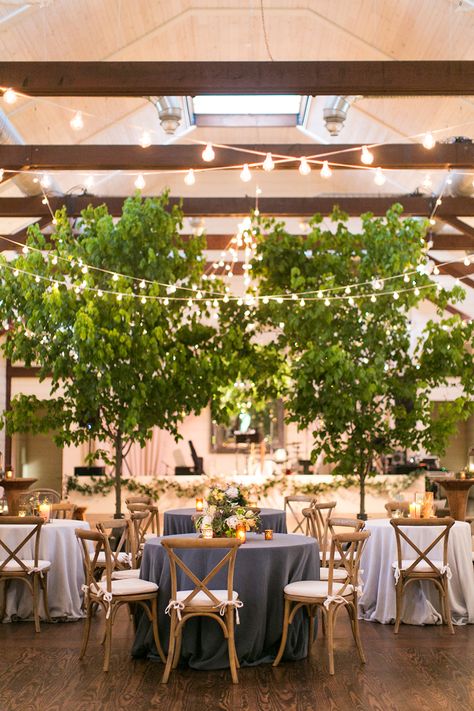 La Tavola Fine Linen Rental: Tuscany Wedgwood and Tuscany Ice | Photography: Katie Stoops Photography, Event Design & Styling: Easton Events, Floral Design: Southern Blooms by Pat Floral Designs, Venue: Pippin Hill Farm Indoor Garden Wedding Reception, Wedding Decorations Indoor, Wedding Reception Indoor, Diy Reception, Wedding Tree Decorations, Indoor Garden Wedding, Indoor Tree, Garden Wedding Reception, Indoor Trees