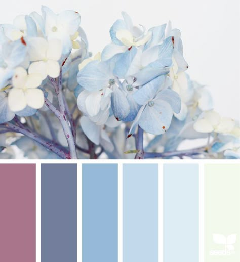 hydrangea hues | design seeds | Bloglovin’ Seeds Color, Palette Design, Design Seeds, Color Palette Design, Color Balance, Color Inspo, Colour Board, Color Textures, Colour Schemes