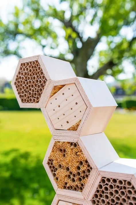 Diy Bamboo Projects, Build A Bug, Bamboo Projects, Diy Bamboo, Insect Box, Bee Houses, Diy Projects Plans, Bee Hotel, Bug Hotel