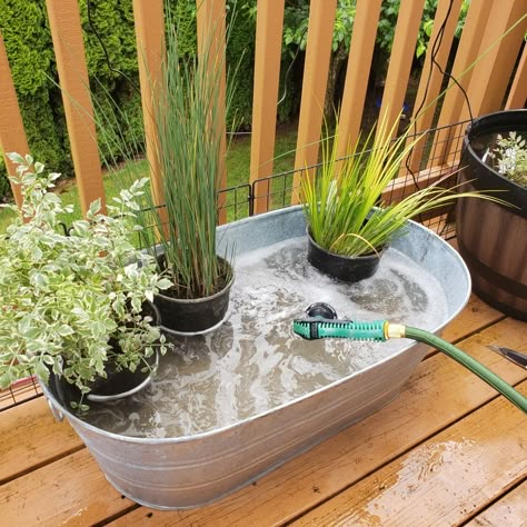 Pond In A Pot With Fish, Diy Outdoor Fish Tank, Container Fish Pond Diy, Patio Ponds Ideas, Porch Pond Diy, Patio Pond Diy, Small Outdoor Fish Pond Ideas, Container Water Gardens Mini Pond, Outdoor Fish Ponds Ideas