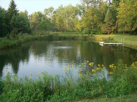 Pond design Fishing Pond, Swimming Ponds, Farm Pond, Building A Pond, Patio Grande, Natural Swimming Ponds, Backyard Ponds, Backyard Pond, Fountains Backyard