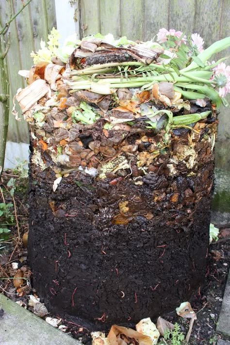 Start A Compost Bin, How To Start Composting, Composting For Beginners, Start Composting, Composting 101, Growing Sweet Potatoes, Diy Compost, Compost Bins, Composting At Home