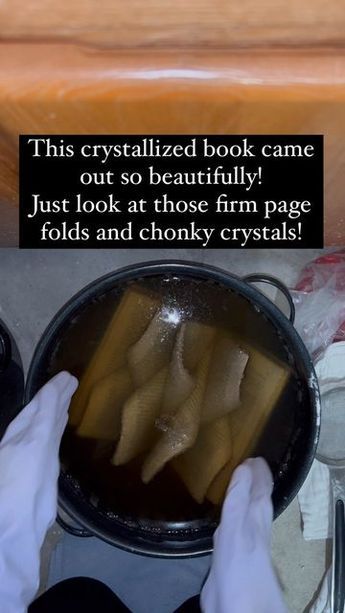 How To Crystallize A Book, Borax Crystal Book Diy, How To Crystallize Books, Diy Crystalized Book, Crystallized Book Diy, Borax Book, Borax Crystals Diy Halloween, Crystalized Books Diy, Diy Borax Crystals