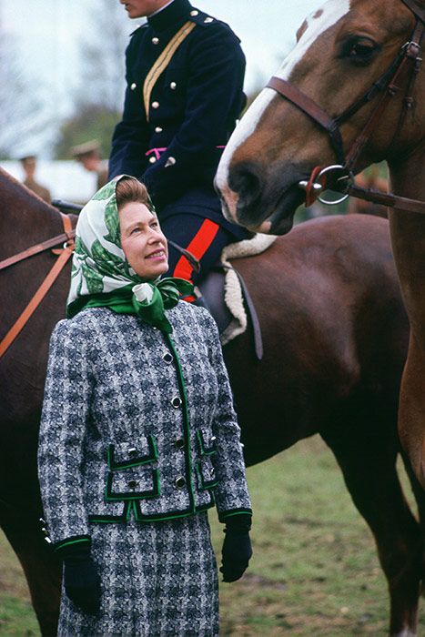 The Queen's best reactions to seeing horses – see the photos - Photo 10 Queen Elisabeth, Rainha Elizabeth Ii, Victorian Pictures, Reine Elizabeth Ii, Hm The Queen, Reine Elizabeth, Queen Love, Elisabeth Ii, Prince Phillip