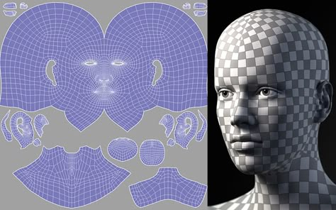 3d Uv Map, Uv Unwrap Character, 3d Wireframe, Face Topology, 3d Modeling Tutorial, 3d Reference, Character Artist, Anime Head, Blender Tutorial