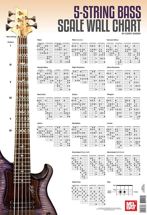 5-String Bass Scale Wall Chart Bass Guitar Notes, Bass Guitar Scales, Yamaha Bass Guitar, Learn Bass Guitar, Bass Guitar Chords, Yamaha Bass, 5 String Bass, Music Theory Guitar, Guitar Notes